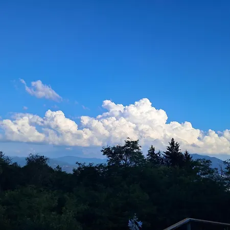 Dell Arte Trarego Viggiona