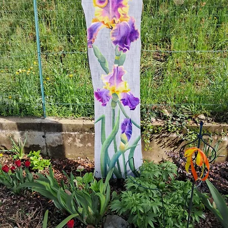 Dell Arte Inn Trarego Viggiona