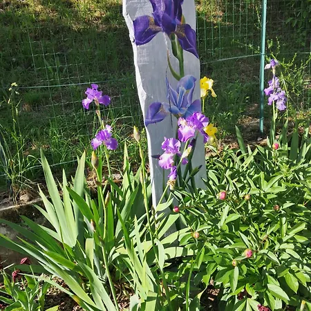 Inn Dell Arte Trarego Viggiona