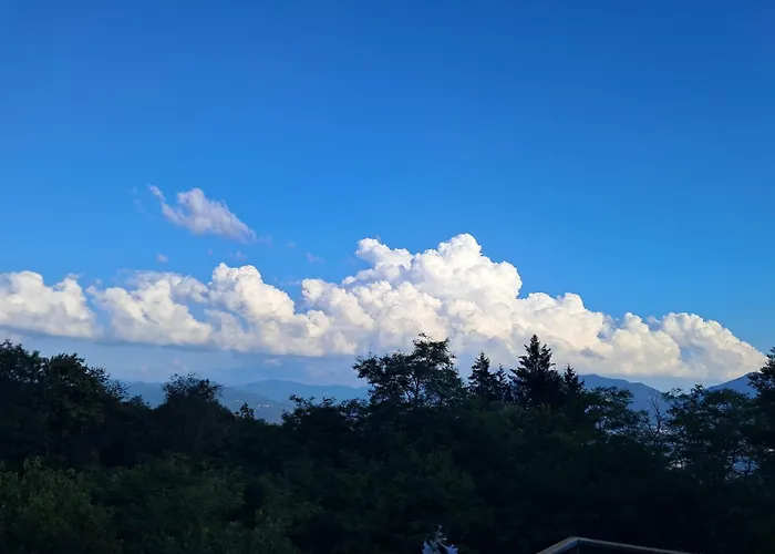 Dell Arte Trarego Viggiona