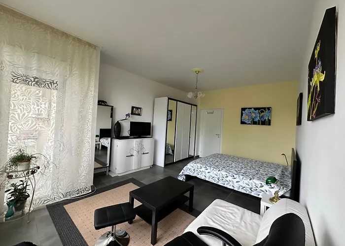 Dell Arte イン Trarego Viggiona