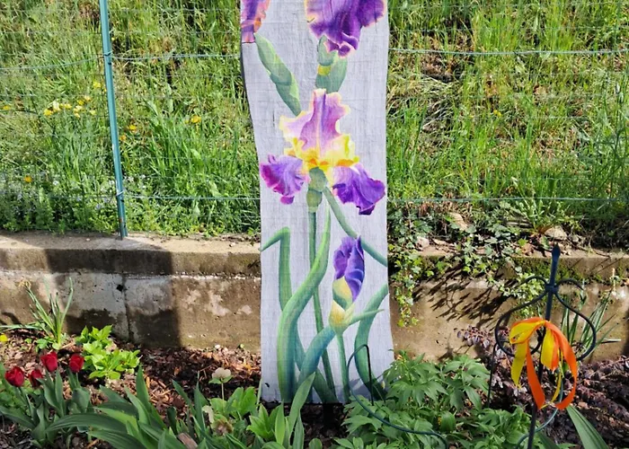 Dell Arte イン Trarego Viggiona