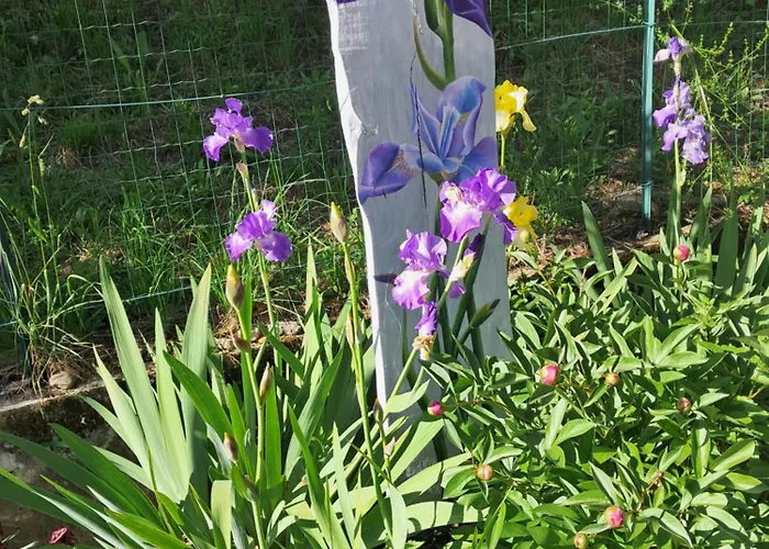 بيت ريفي Dell Arte Trarego Viggiona